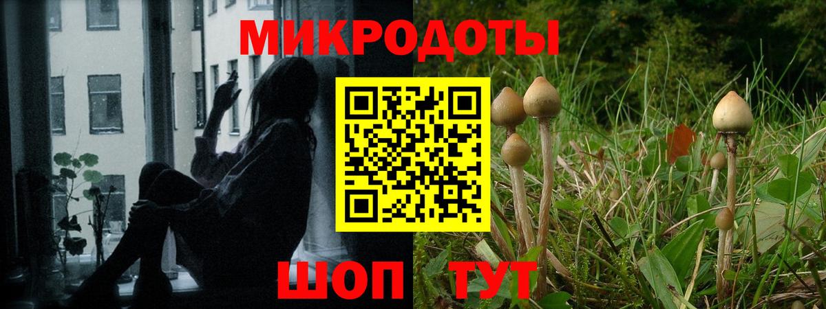 Ярцево  Галлюциногенные грибы MAGIC MUSHROOMS  Вход с VPN 