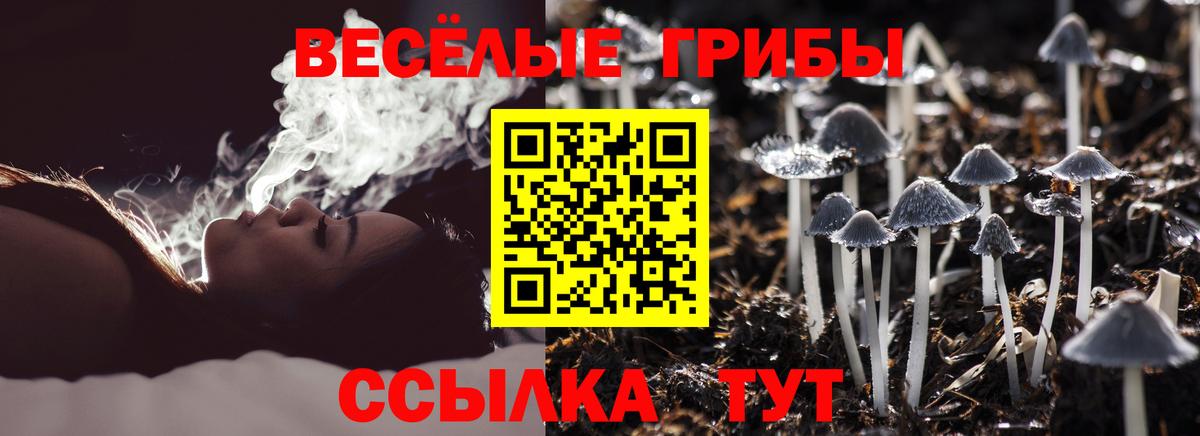 Галлюциногенные грибы MAGIC MUSHROOMS Ярцево